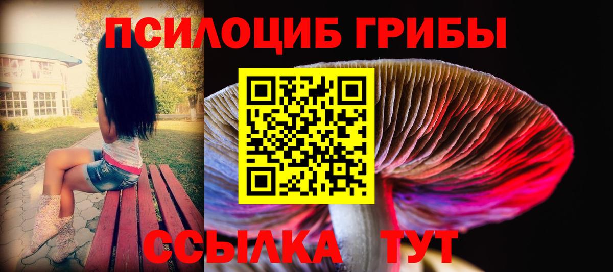 Псилоцибиновые грибы GOLDEN TEACHER Барабинск