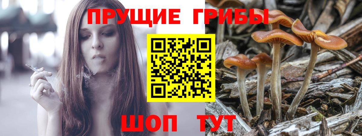 Галлюциногенные грибы ЛСД  Вход с VPN  Барабинск 